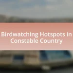 Birdwatching Hotspots in Constable Country